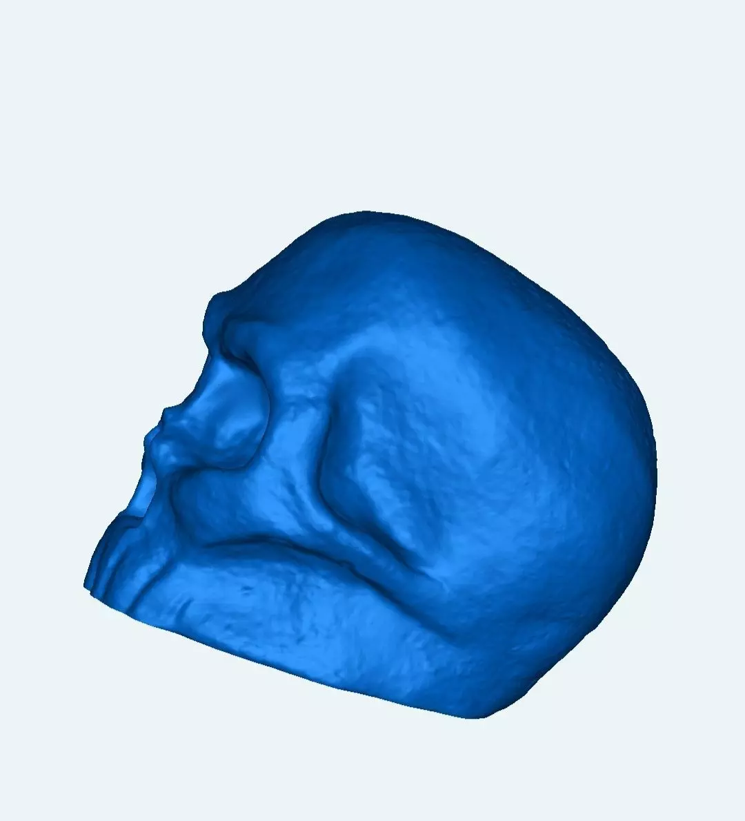 Skull Illu 3D print model