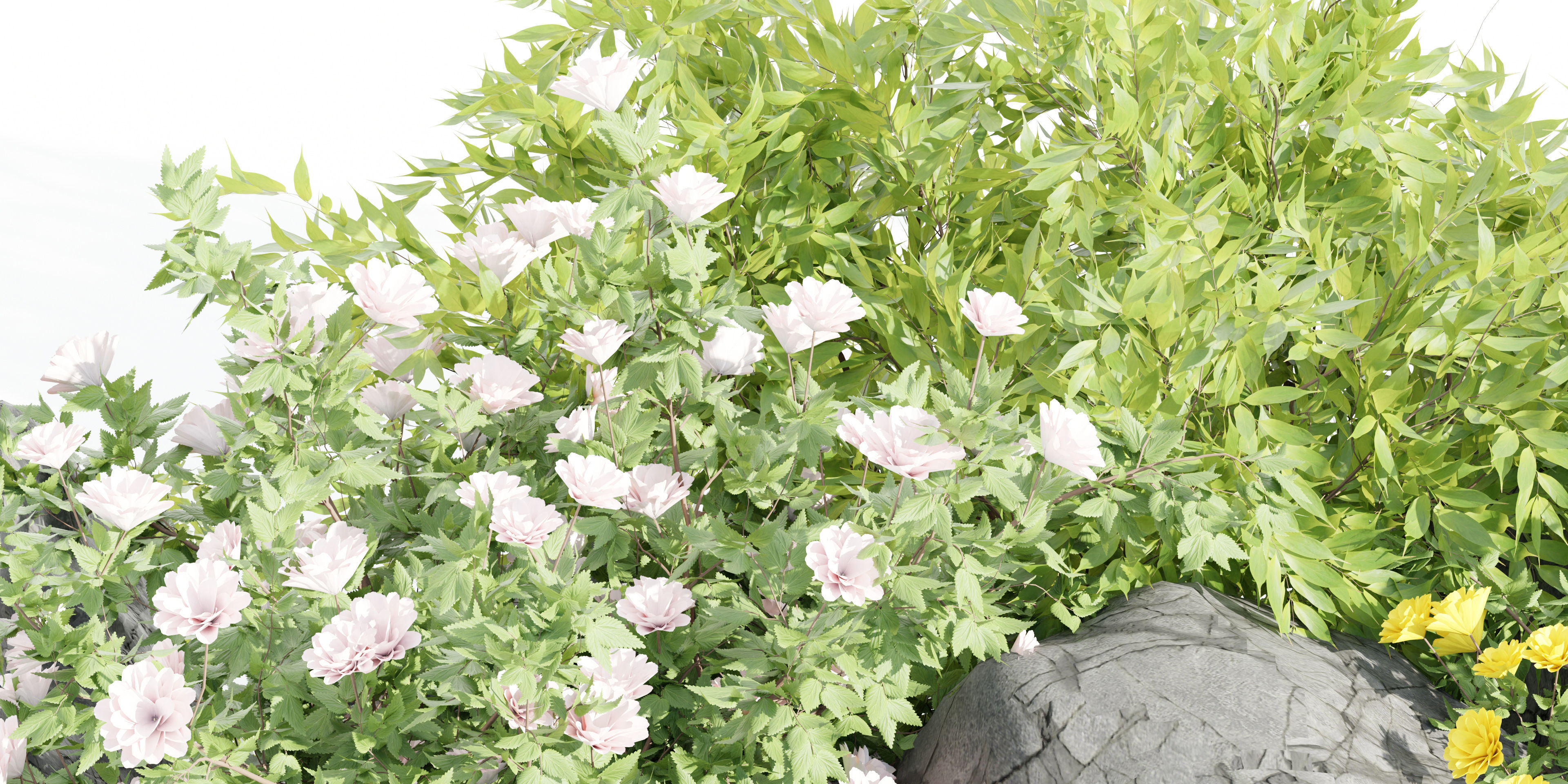 garden plants collection vol 57-Blender 3D model_2