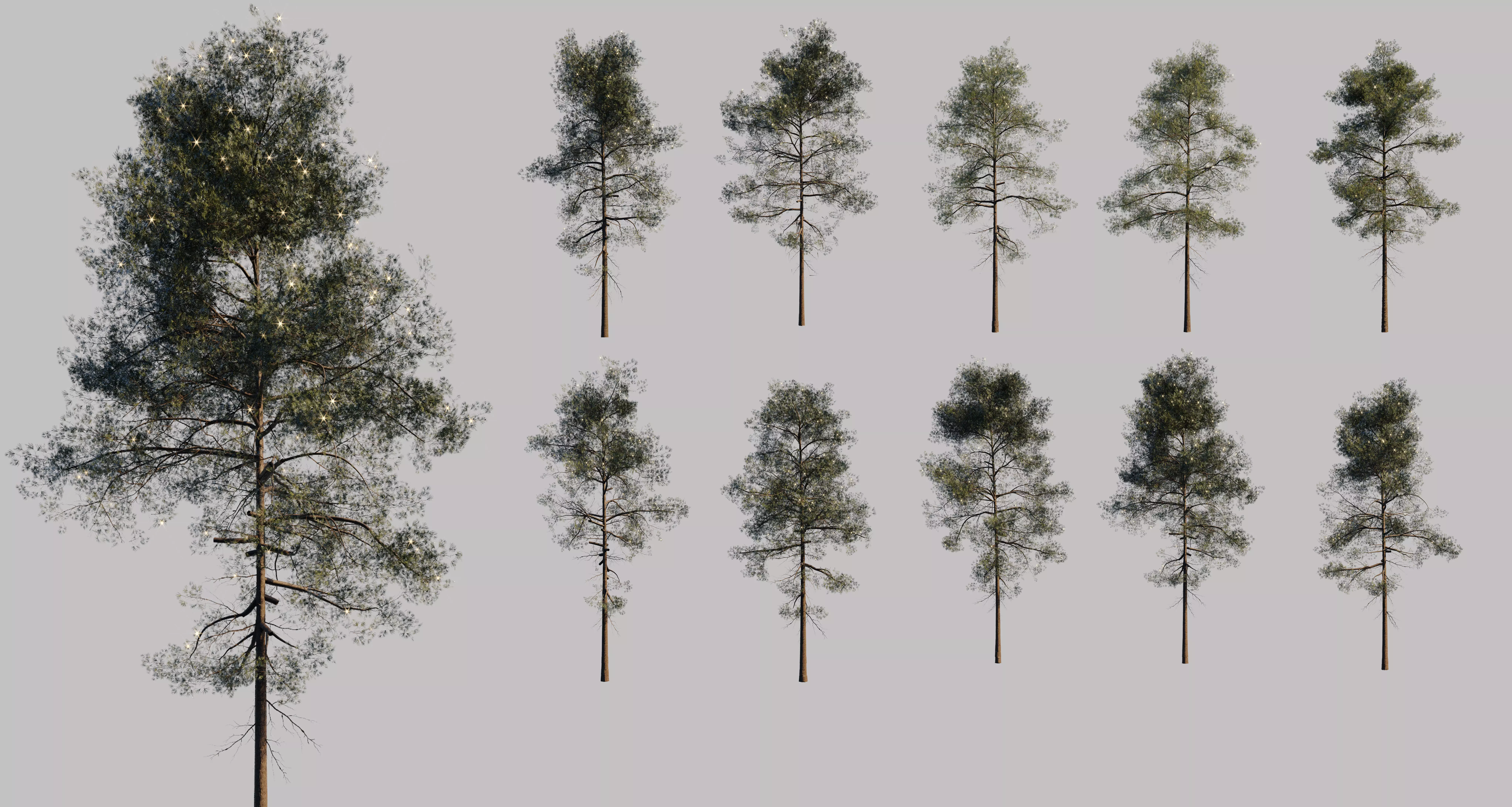 10 pine tree animated set Low-poly 3D model_0