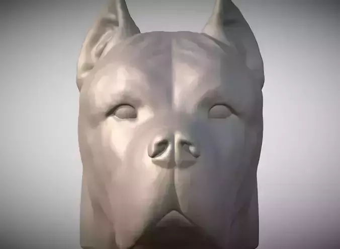 Cane Corso dog head for 3D printing 3D print model