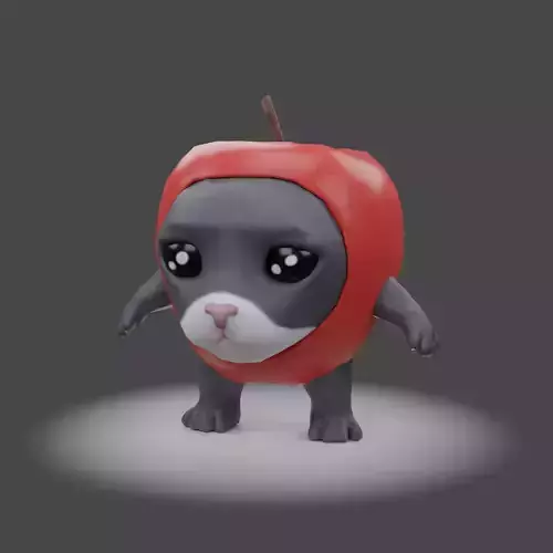 Apple Cat