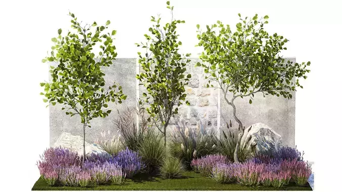 Garden with trees bushes lavender flowers feather grass 1388
