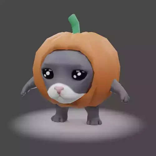 Pumpkin cat meme