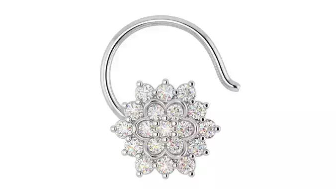 Nosepin 3D print model