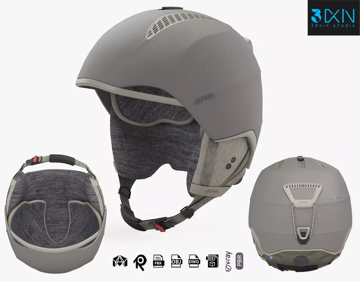 Ski Helmet Alpina Grand Lavalan 3D model