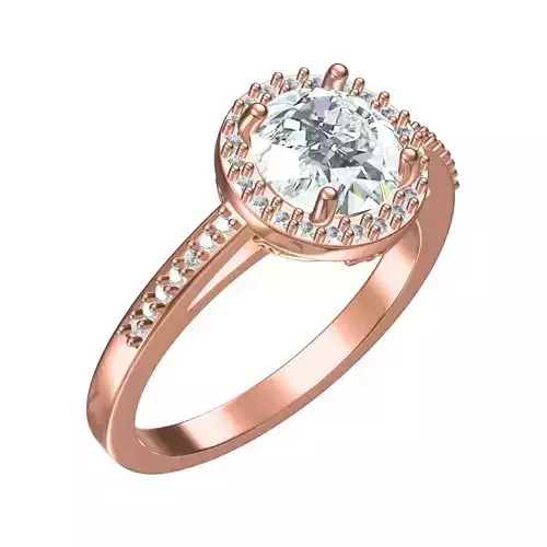 Round Diamond Halo Cathedral Engagement Ring