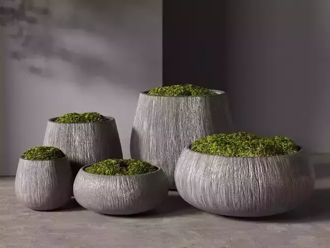 Pots with Moss