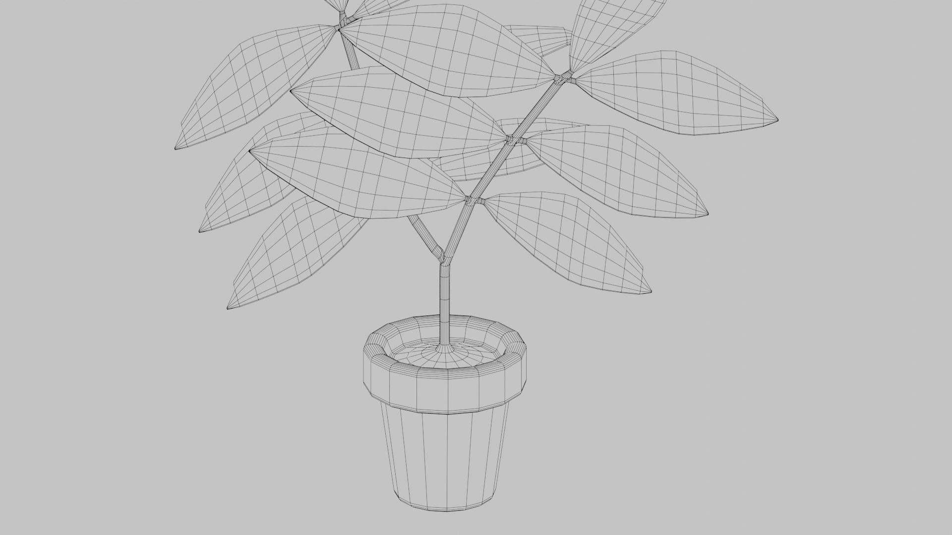 Plants Vase 3D model_4