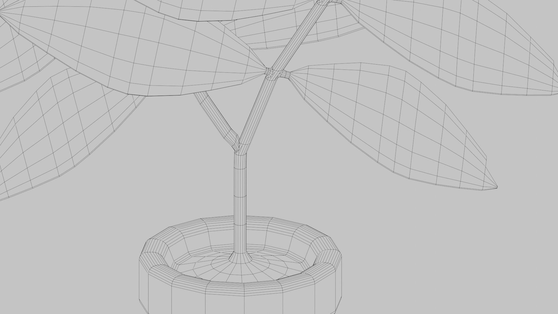 Plants Vase 3D model_5