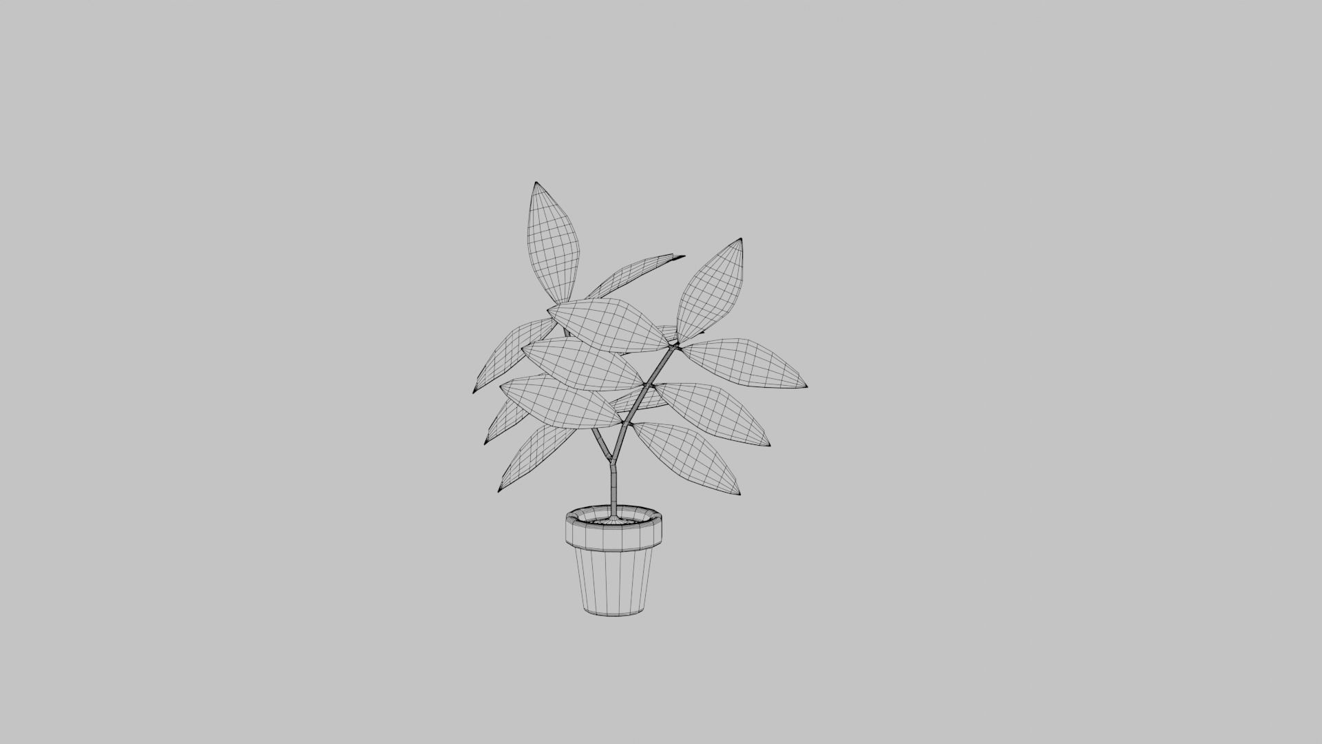 Plants Vase 3D model_7