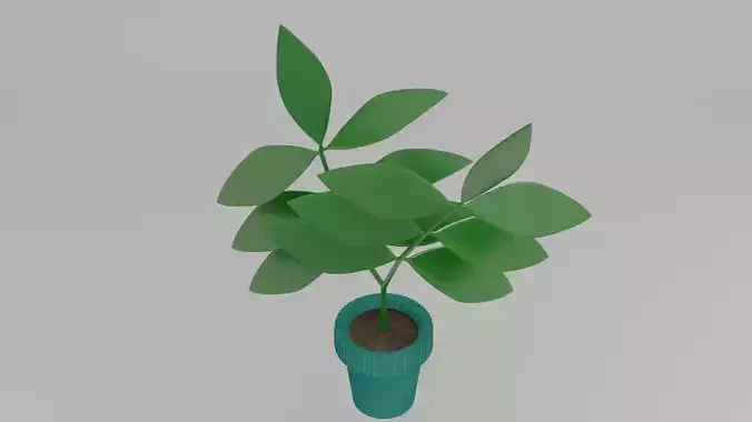 Plants Vase