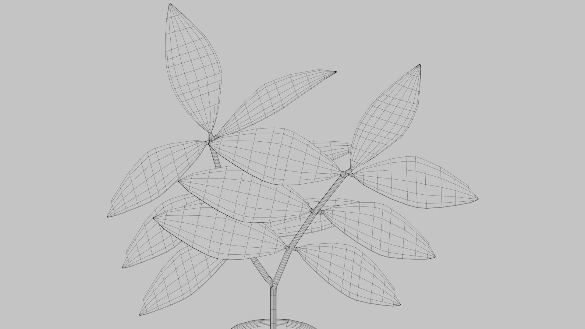 Plants Vase 3D model_3