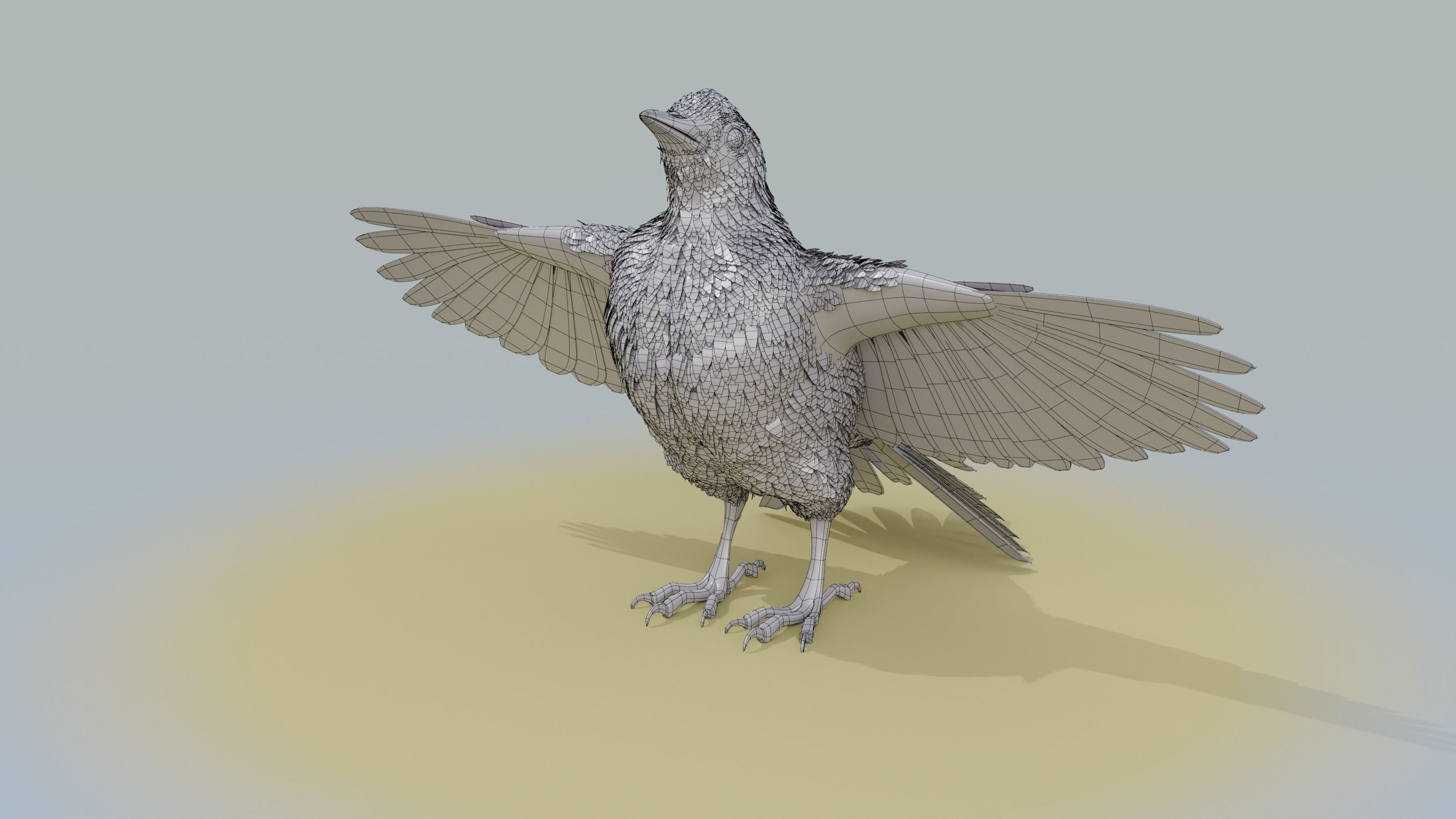 American Robin - Blender 3D model_20