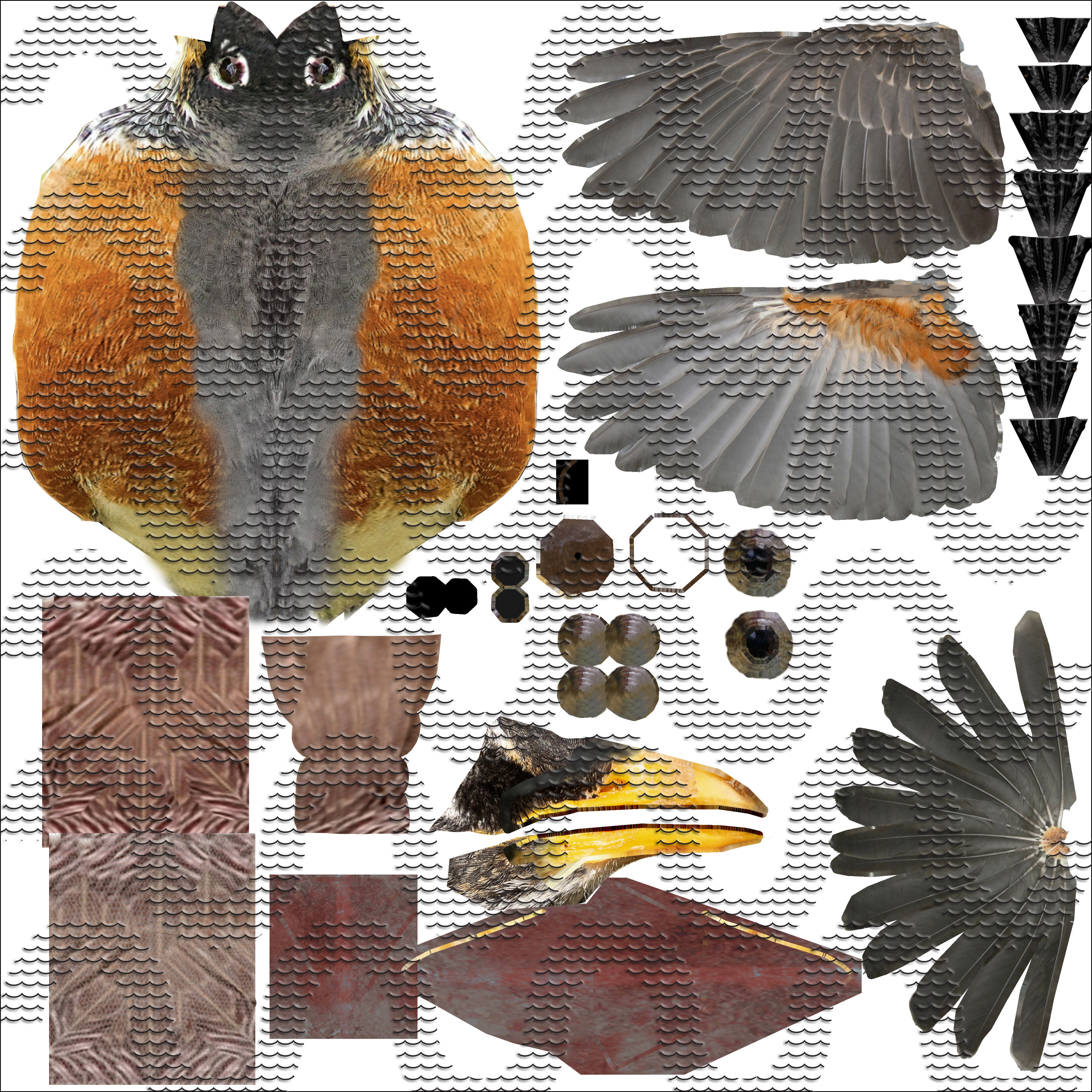 American Robin - Blender 3D model_27