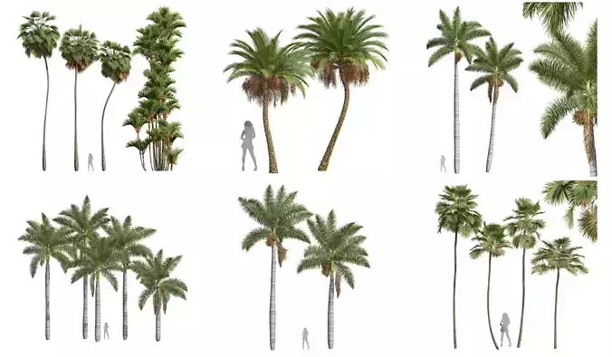  6 Different SETS of Tree SET VOL46 3D Model Collection