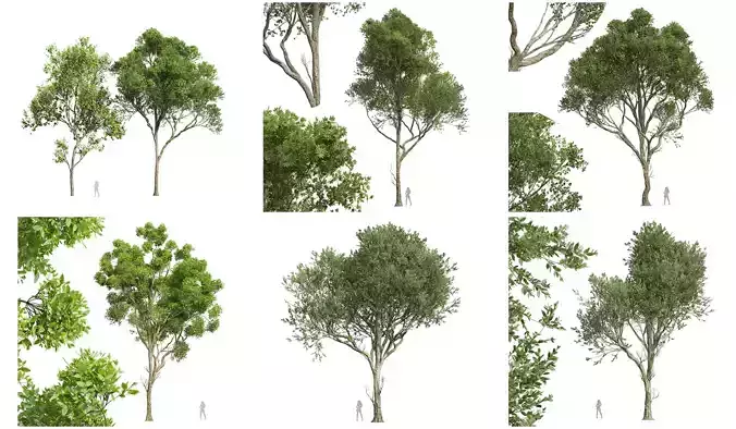  6 Different SETS of Tree SET VOL47 3D Model Collection