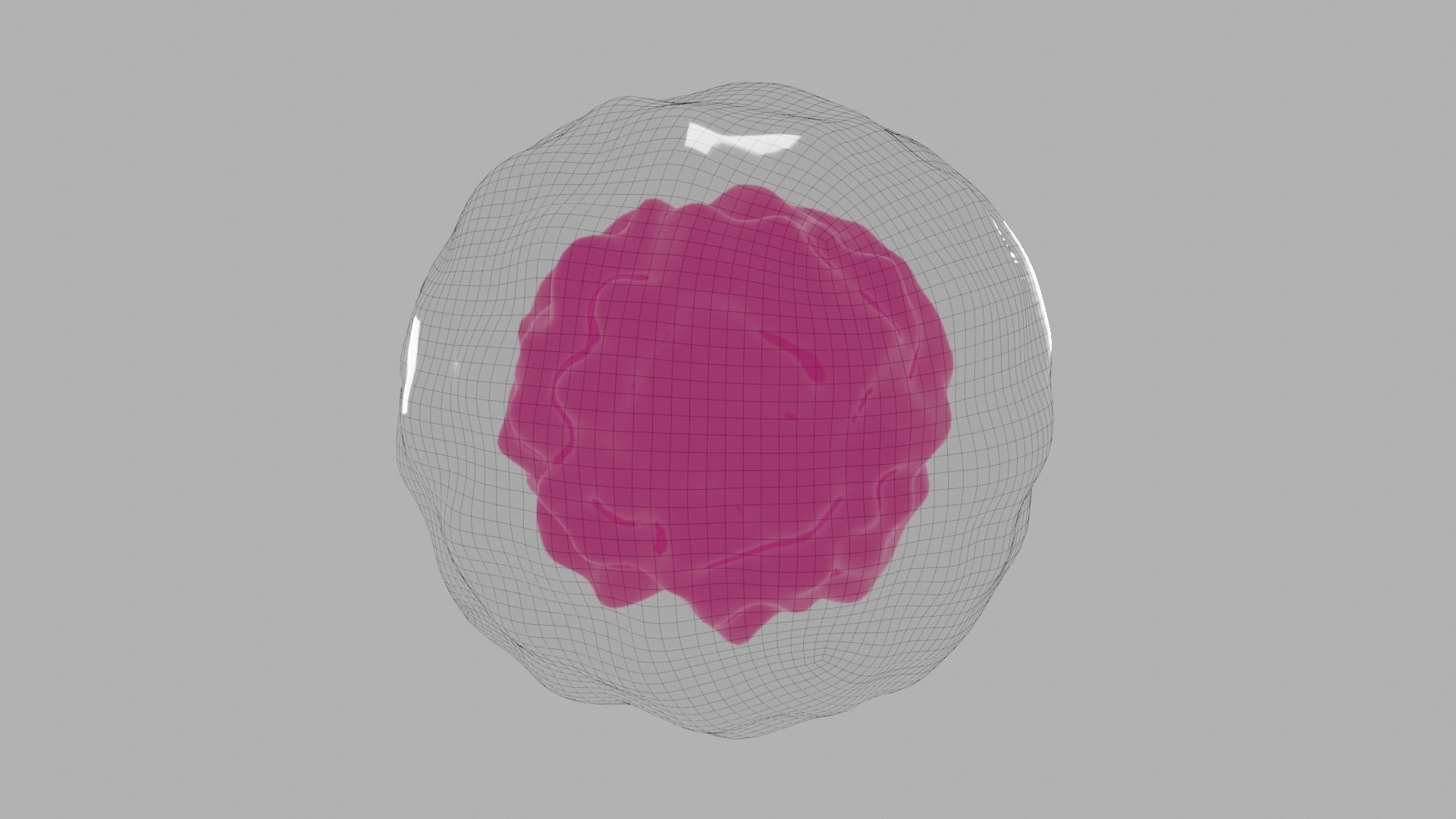 Professional realistic Animal Cell or Stem Cell 3D model Free low-poly 3D model_2