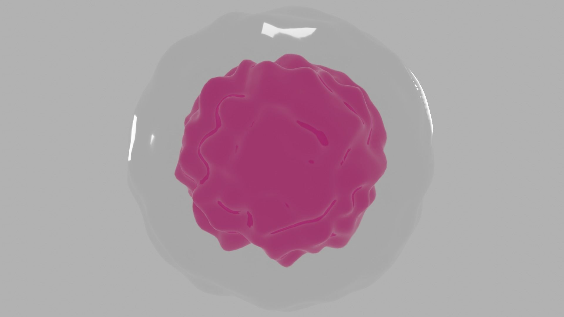 Professional realistic Animal Cell or Stem Cell 3D model Free low-poly 3D model_1