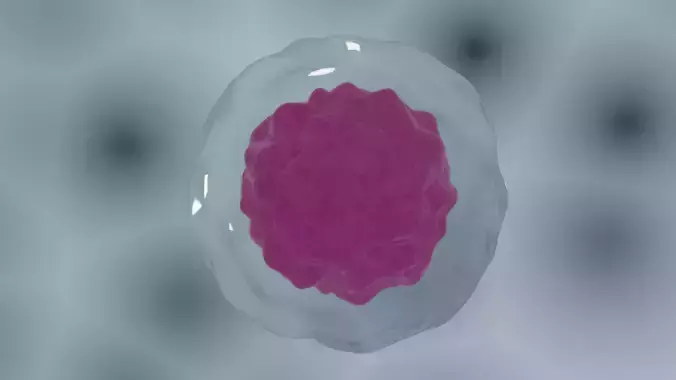 Professional realistic Animal Cell or Stem Cell 3D model Free low-poly 3D model