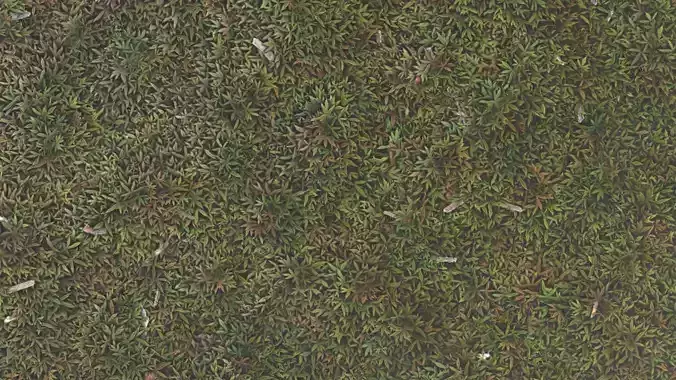 bumpy plant field 4K