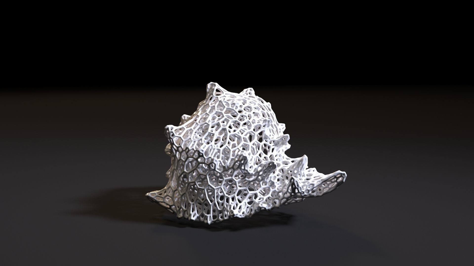 Sea shell 3D print model_5