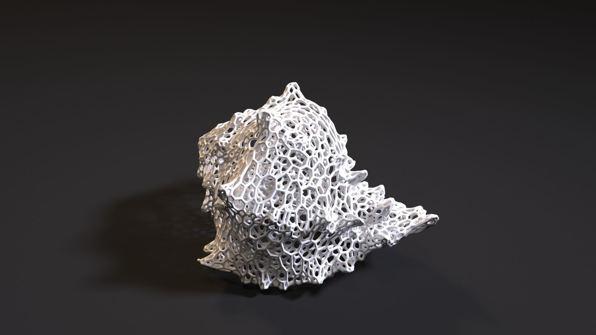 Sea shell 3D print model_9