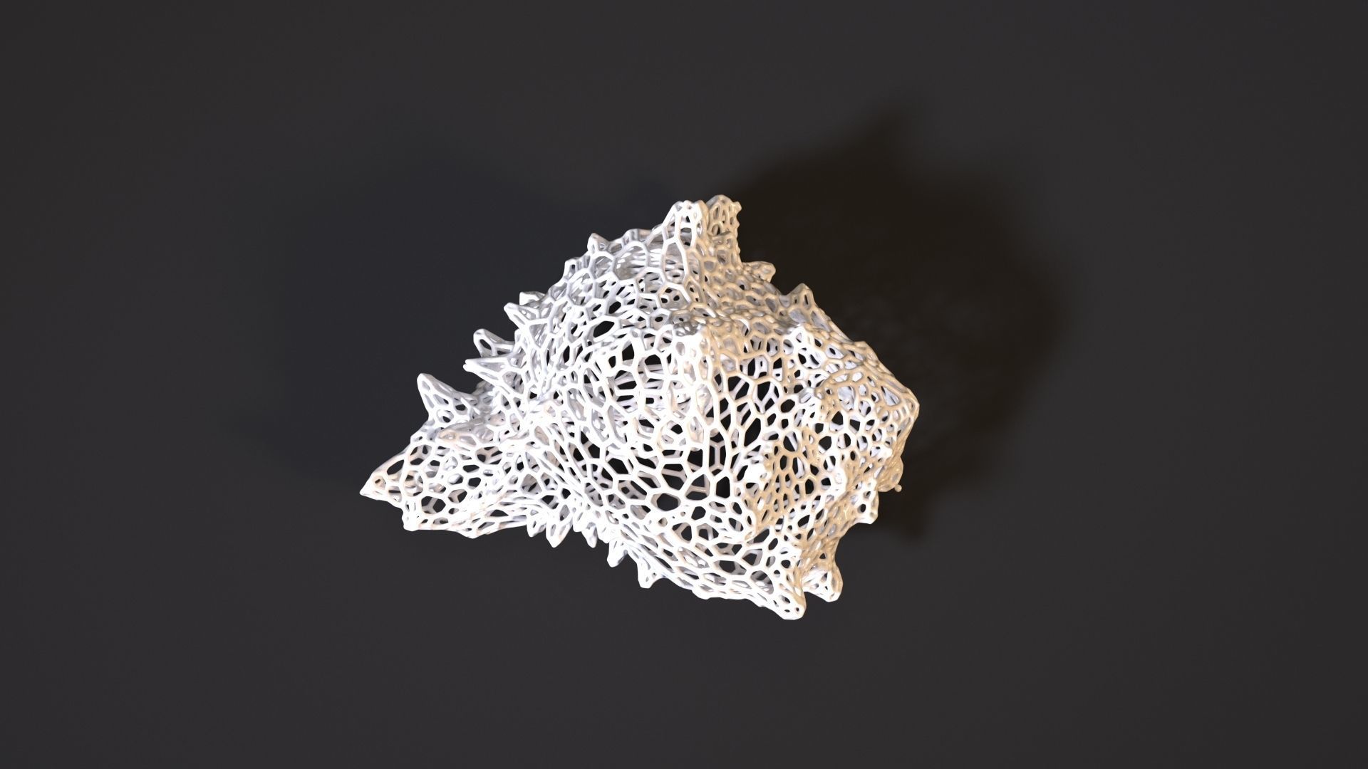 Sea shell 3D print model_8