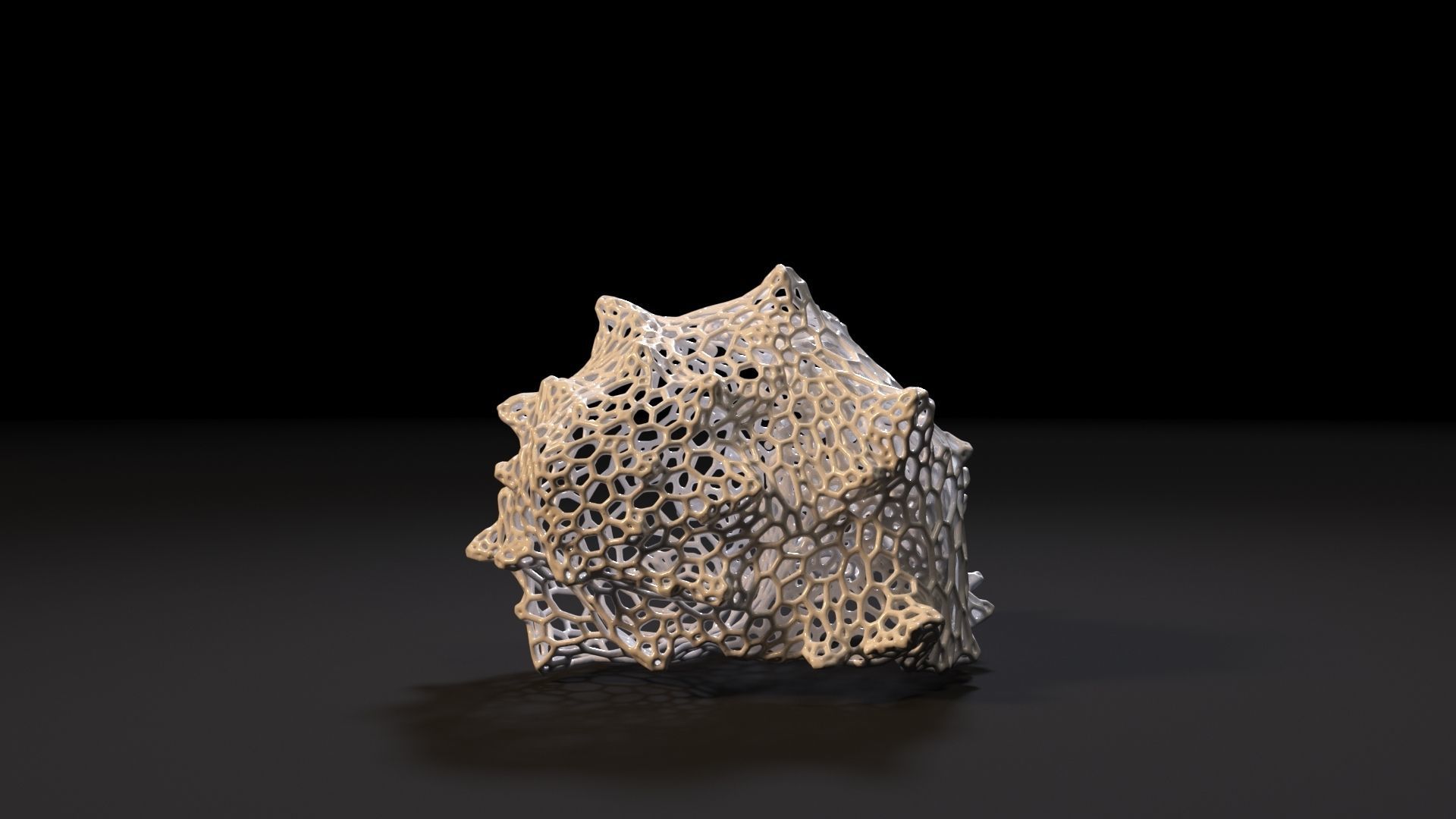 Sea shell 3D print model_3