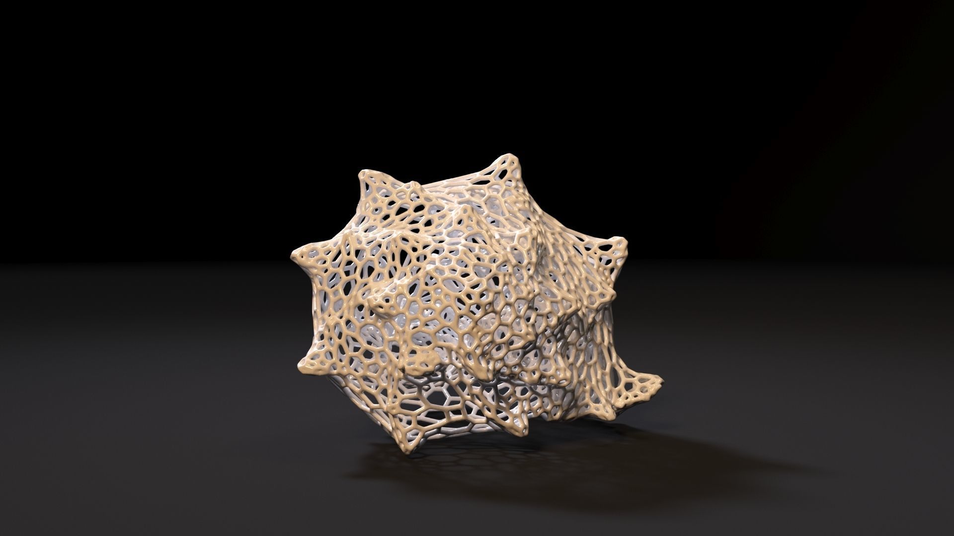 Sea shell 3D print model_2