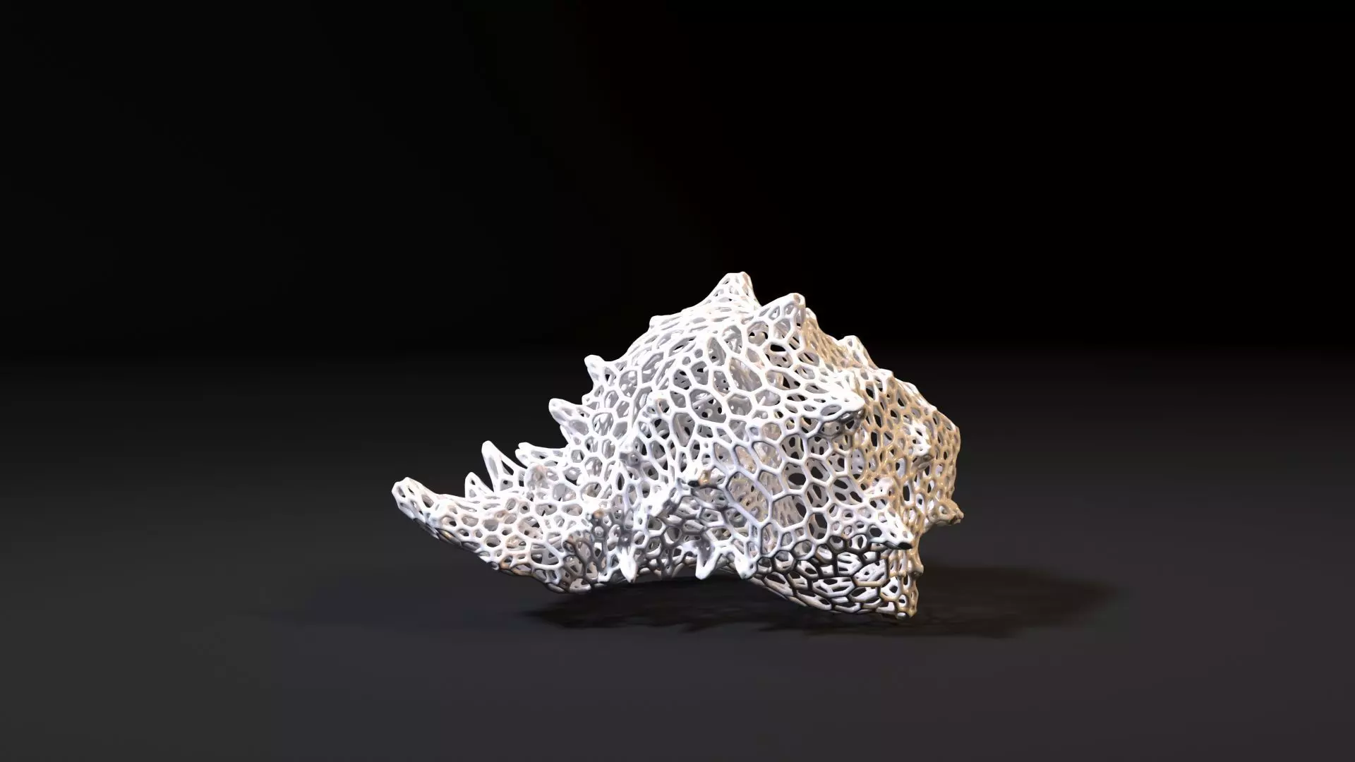 Sea shell 3D print model_0