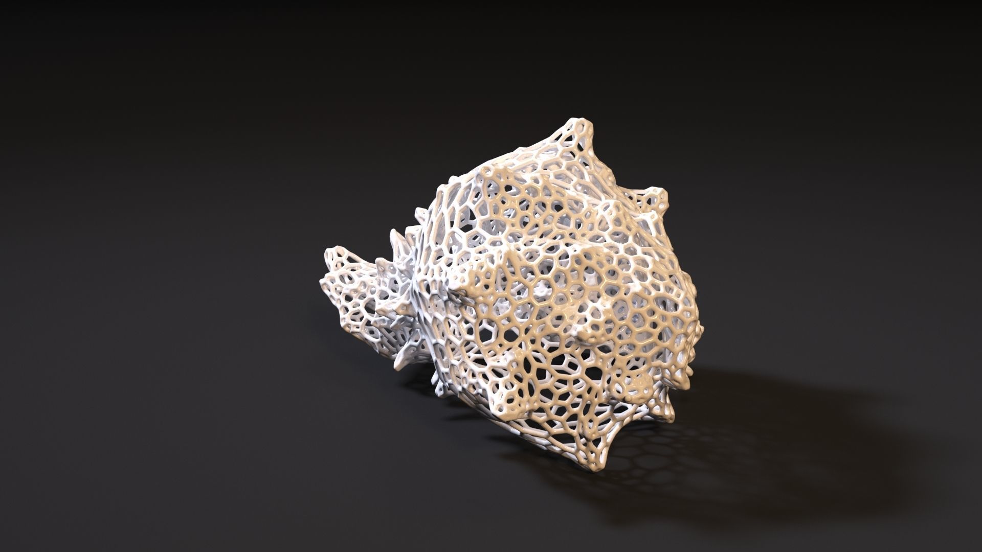 Sea shell 3D print model_1