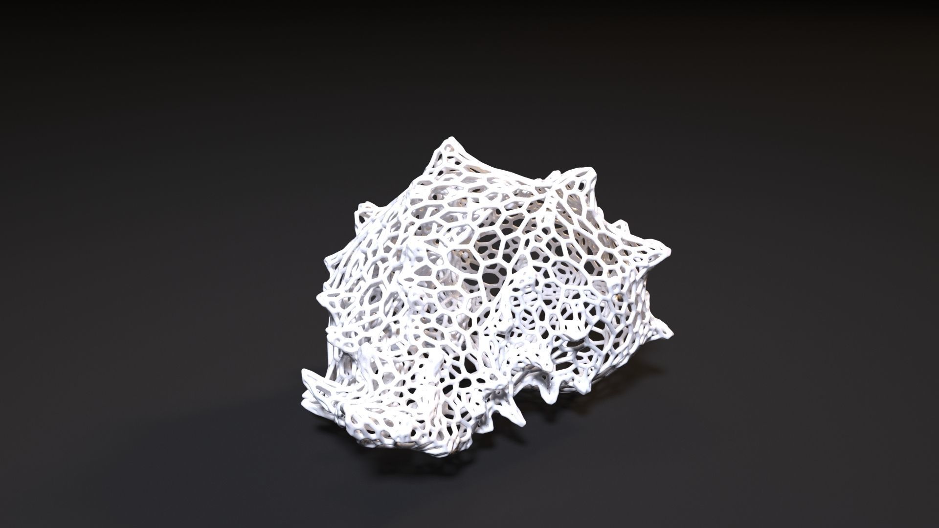 Sea shell 3D print model_7