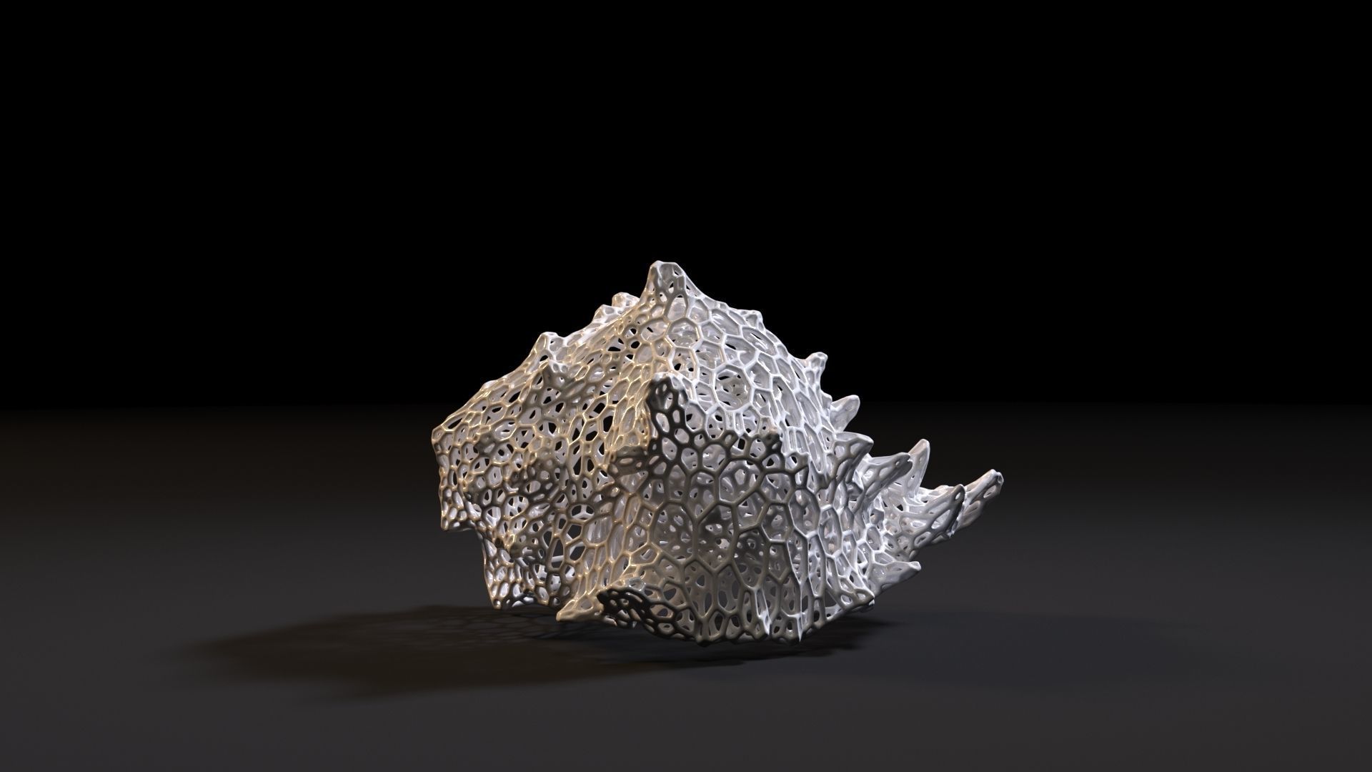 Sea shell 3D print model_4