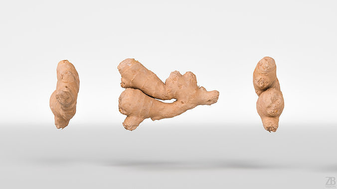 Ginger 3D model 5