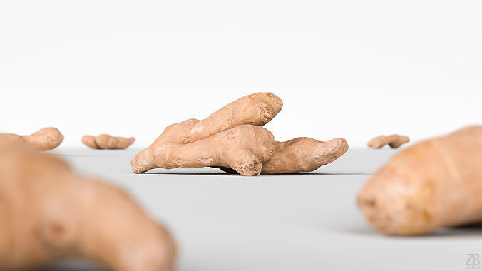 Ginger 3D model 2