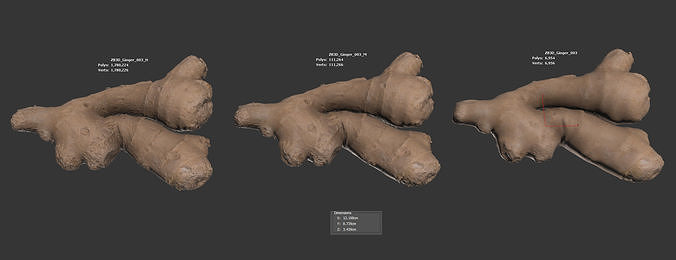 Ginger 3D model 6