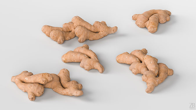 Ginger 3D model 3