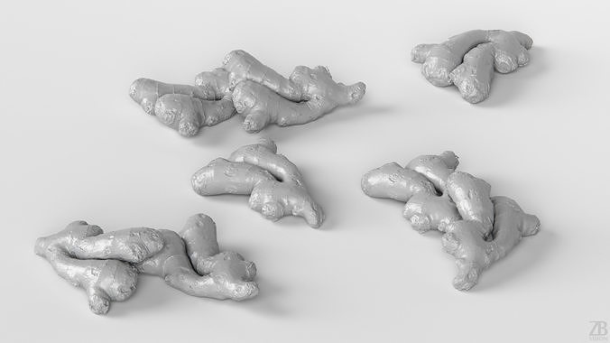 Ginger 3D model 4