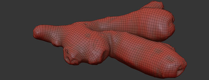 Ginger 3D model 7