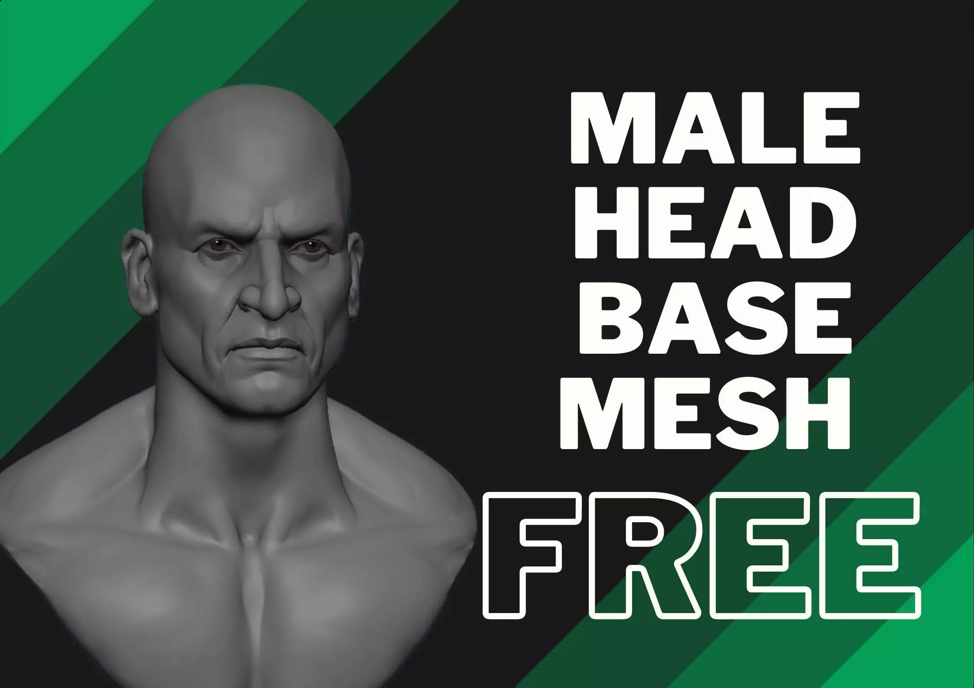 Male head base mesh Free 3D model