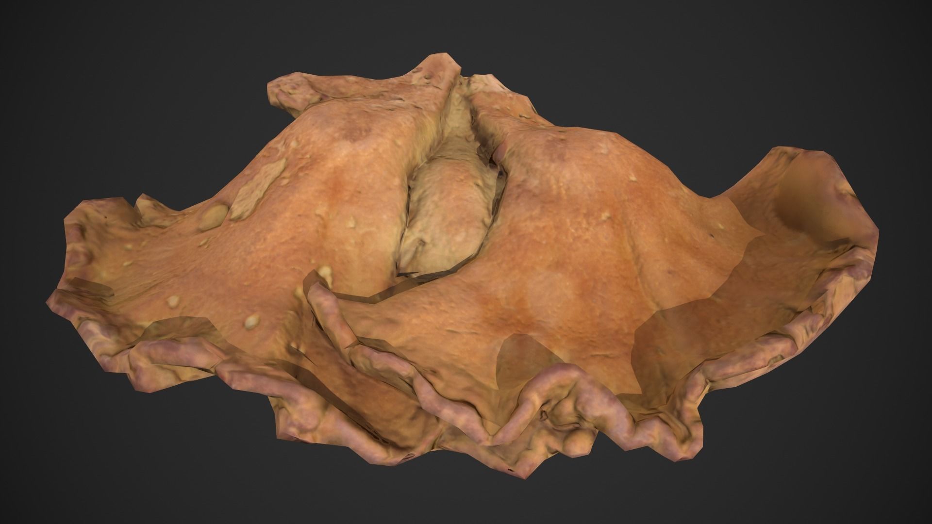 Chicken of the Woods - Laetiporus sulphureus Low-poly 3D model_8