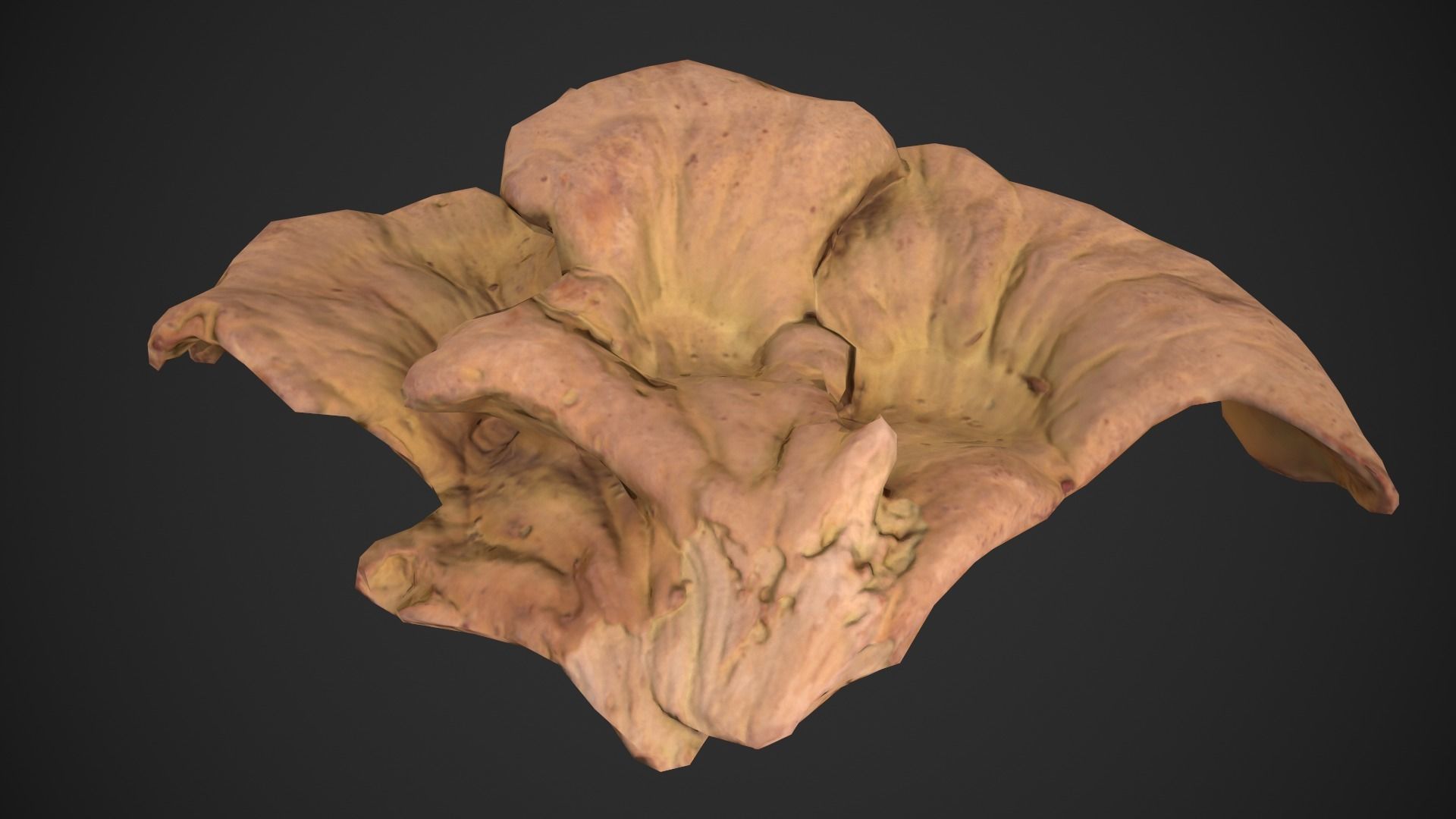 Chicken of the Woods - Laetiporus sulphureus Low-poly 3D model_12