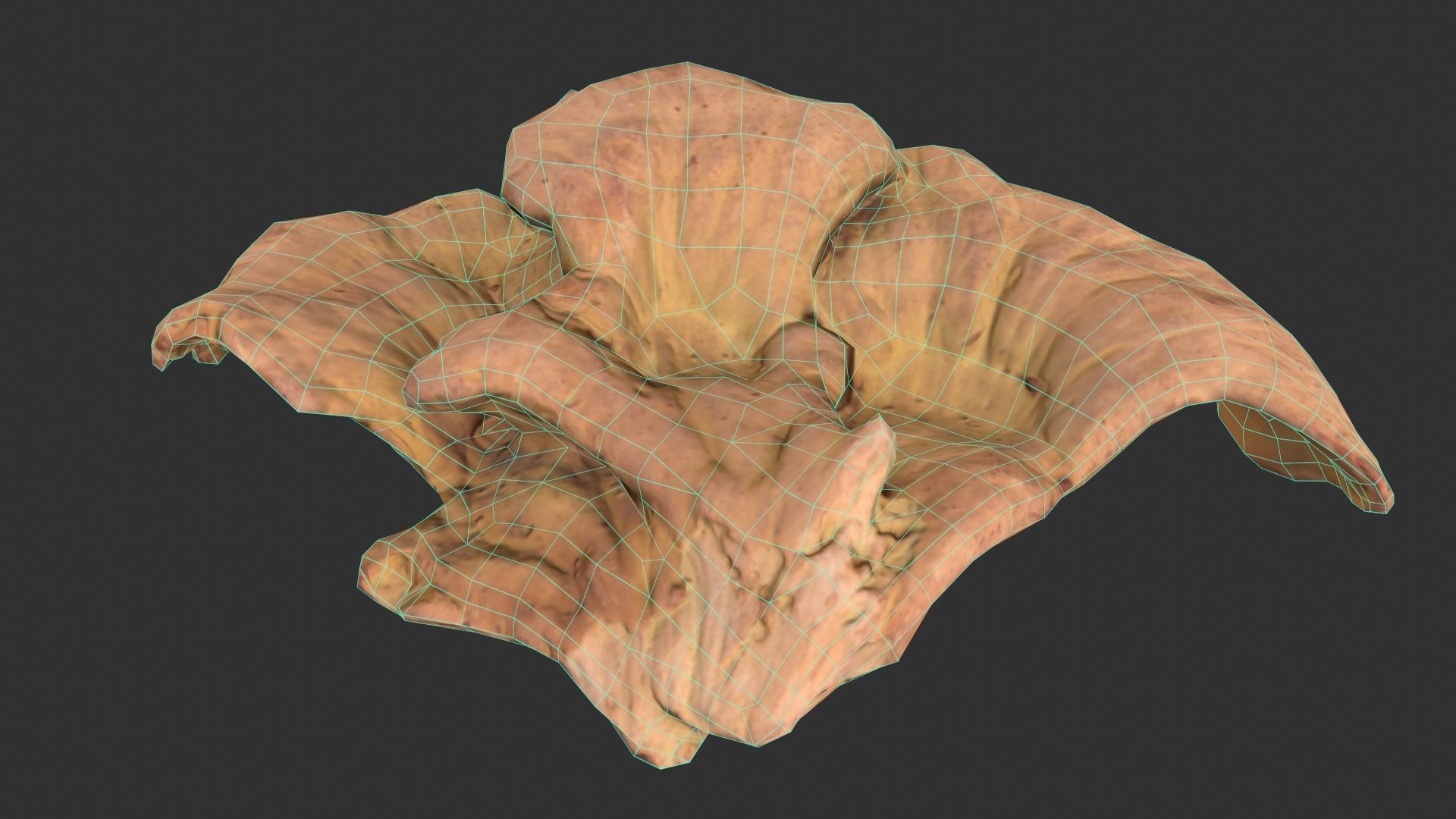 Chicken of the Woods - Laetiporus sulphureus Low-poly 3D model_13