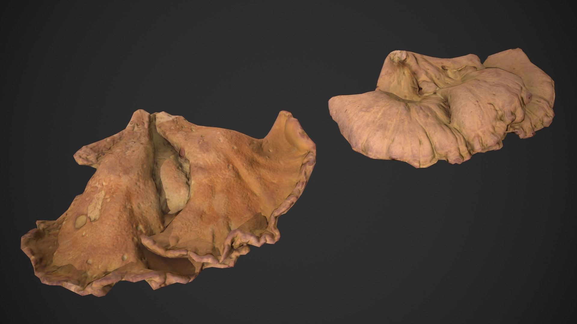 Chicken of the Woods - Laetiporus sulphureus Low-poly 3D model_16