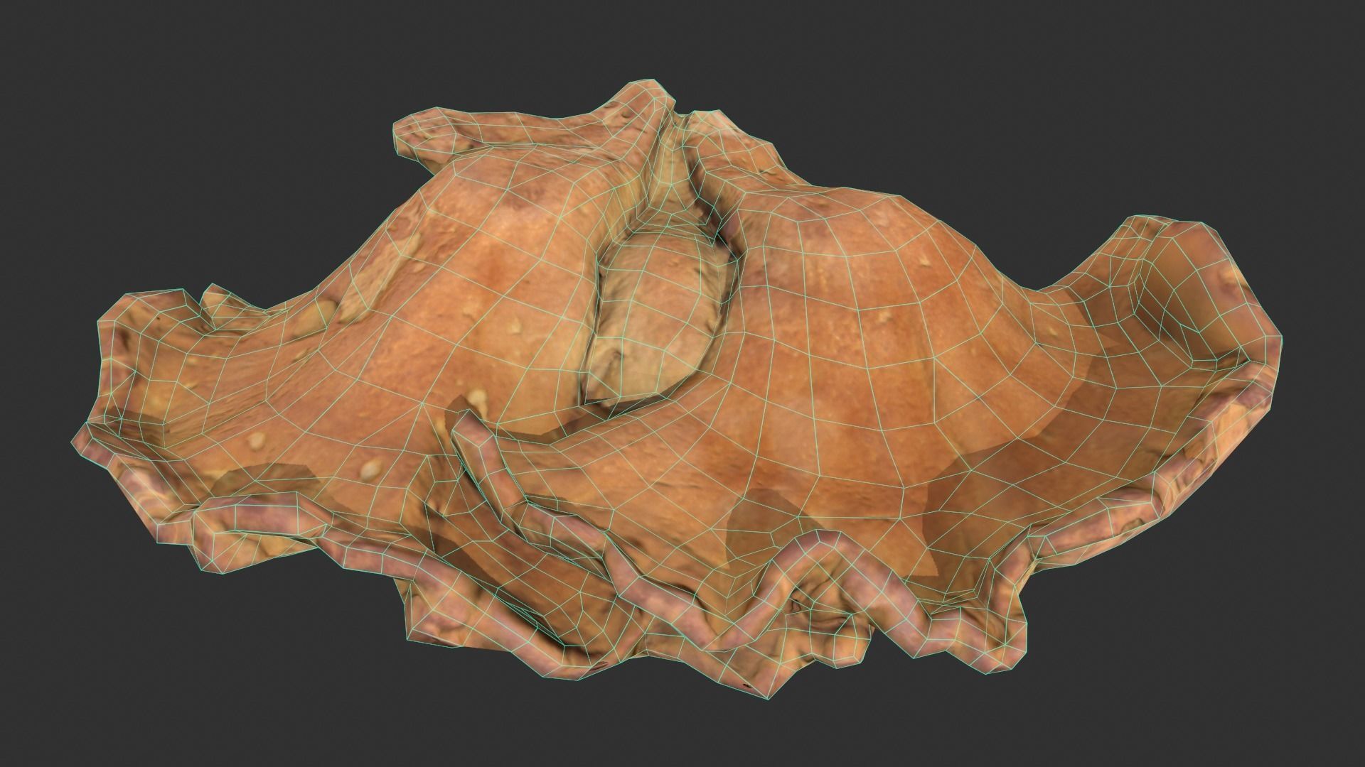 Chicken of the Woods - Laetiporus sulphureus Low-poly 3D model_9