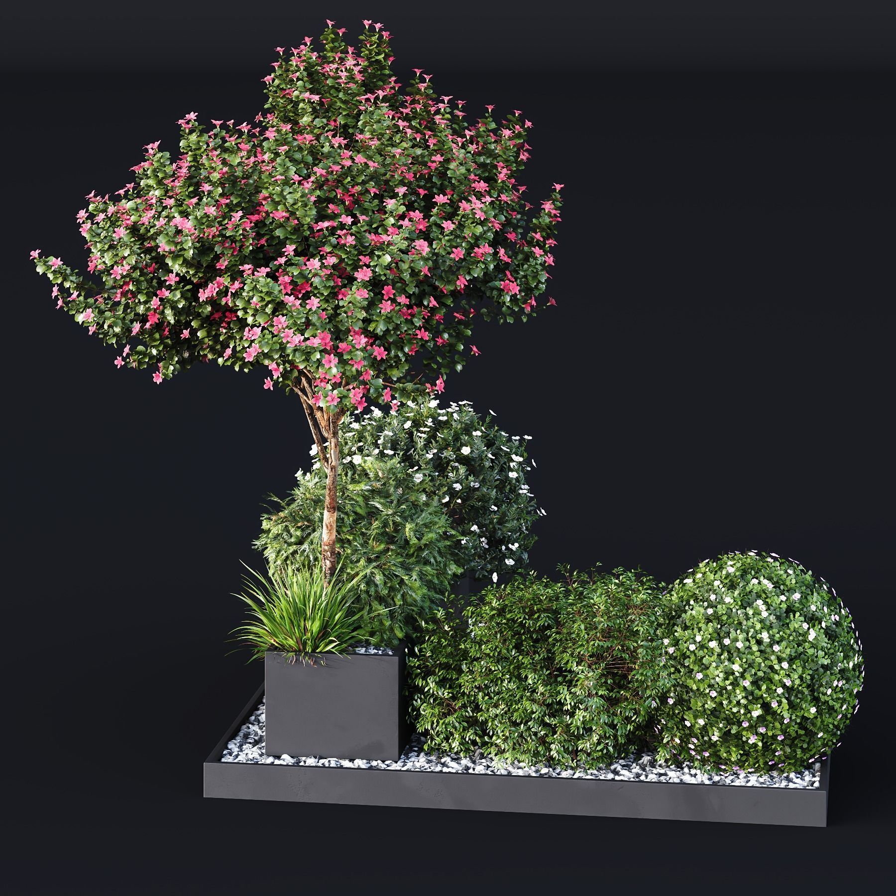 HQ Tree and bush garden box outdoor VOL 06 3D model_1