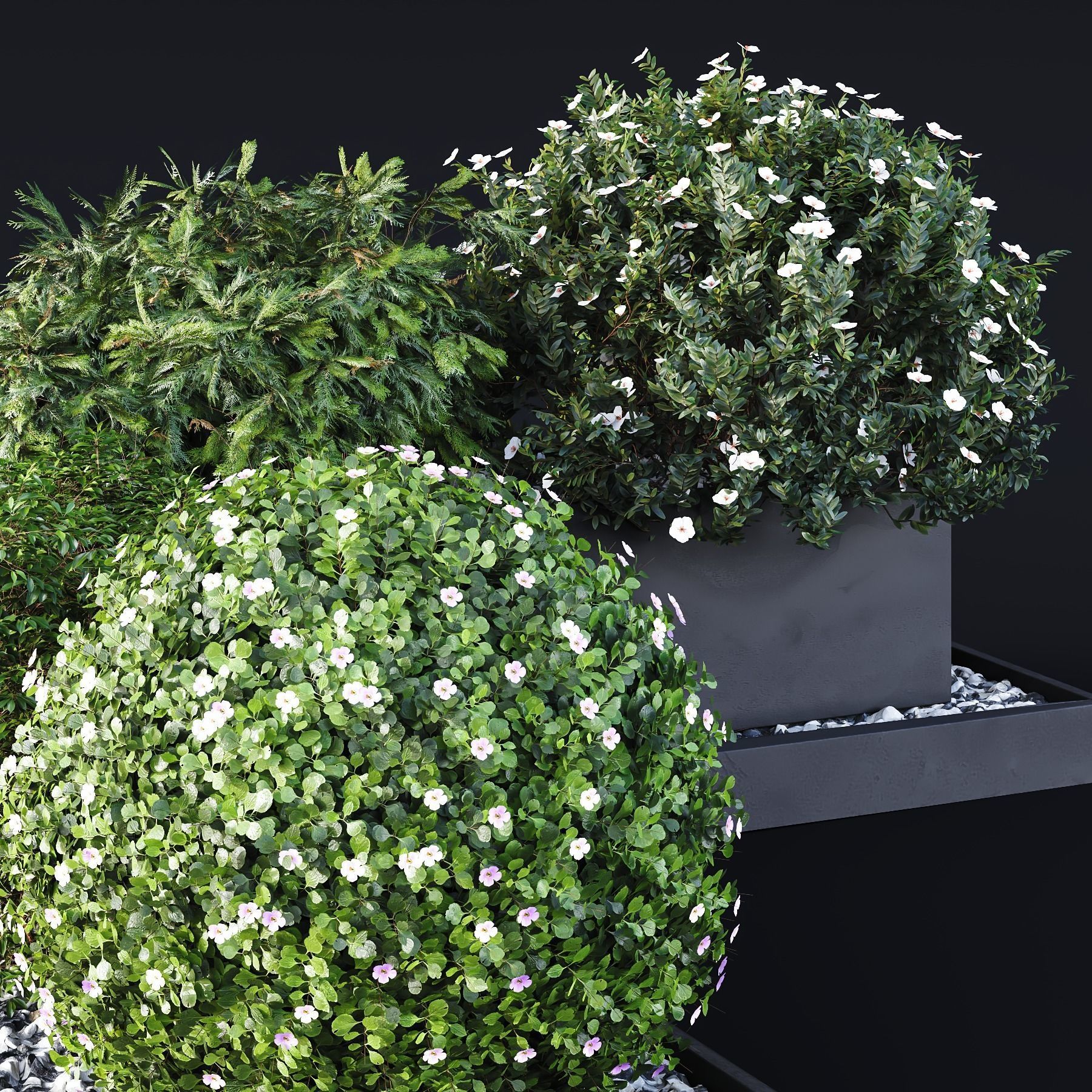 HQ Tree and bush garden box outdoor VOL 06 3D model_2