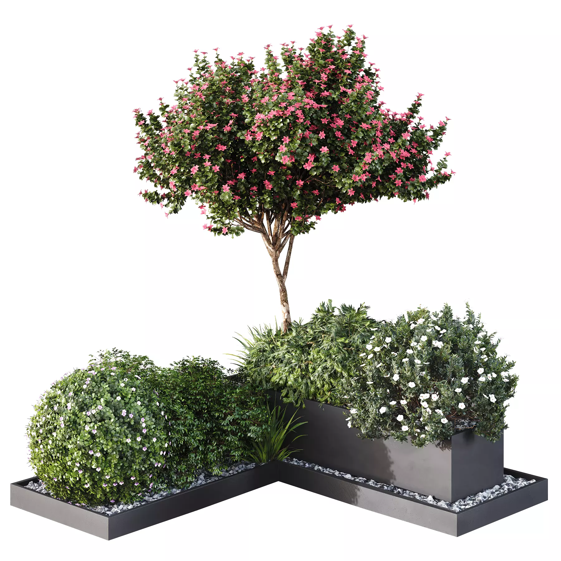 HQ Tree and bush garden box outdoor VOL 06 3D model_0
