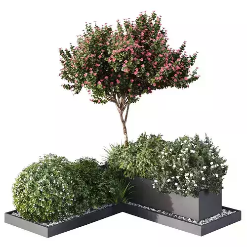 HQ Tree and bush garden box outdoor VOL 06