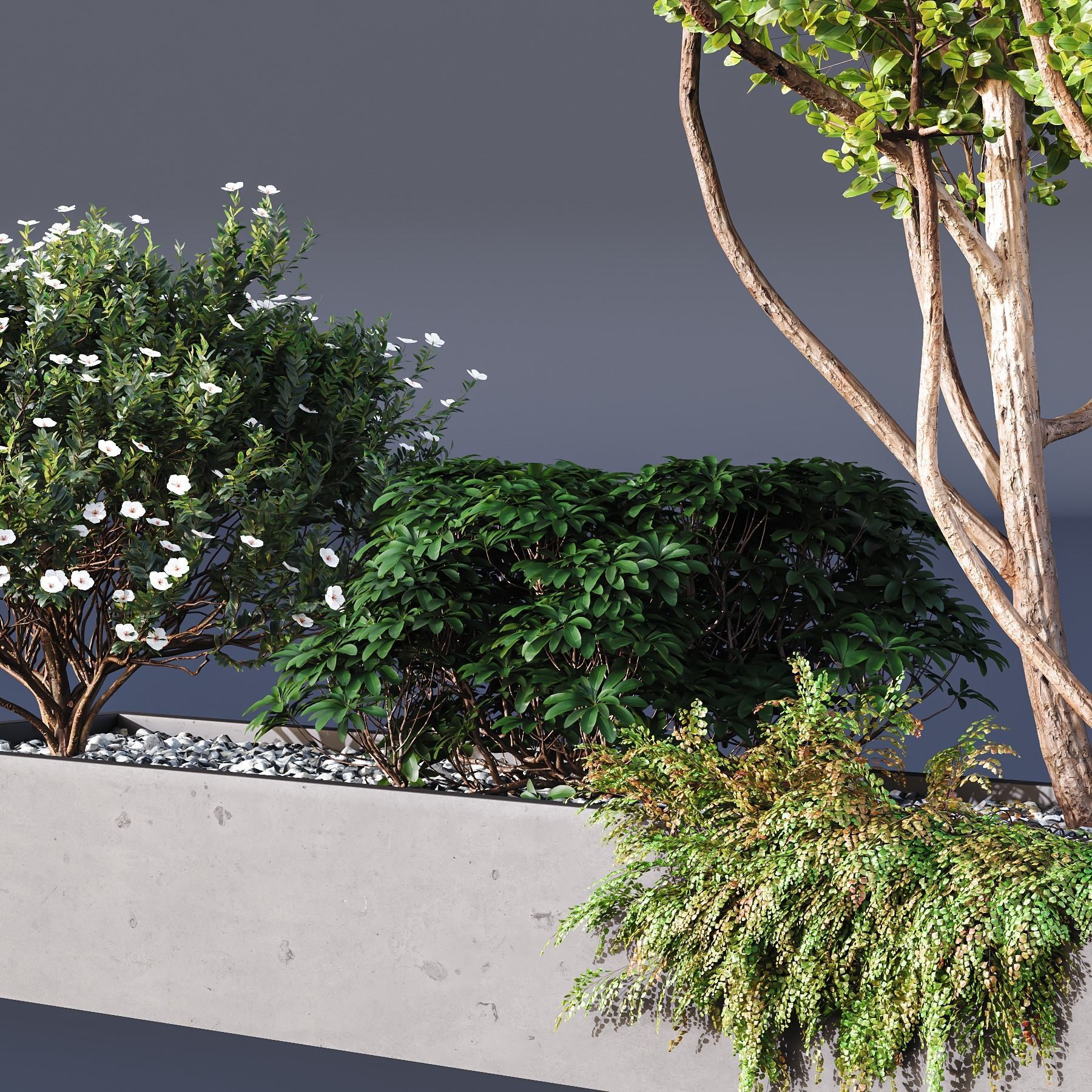 HQ Tree and bush garden box outdoor VOL 02 3D model_3